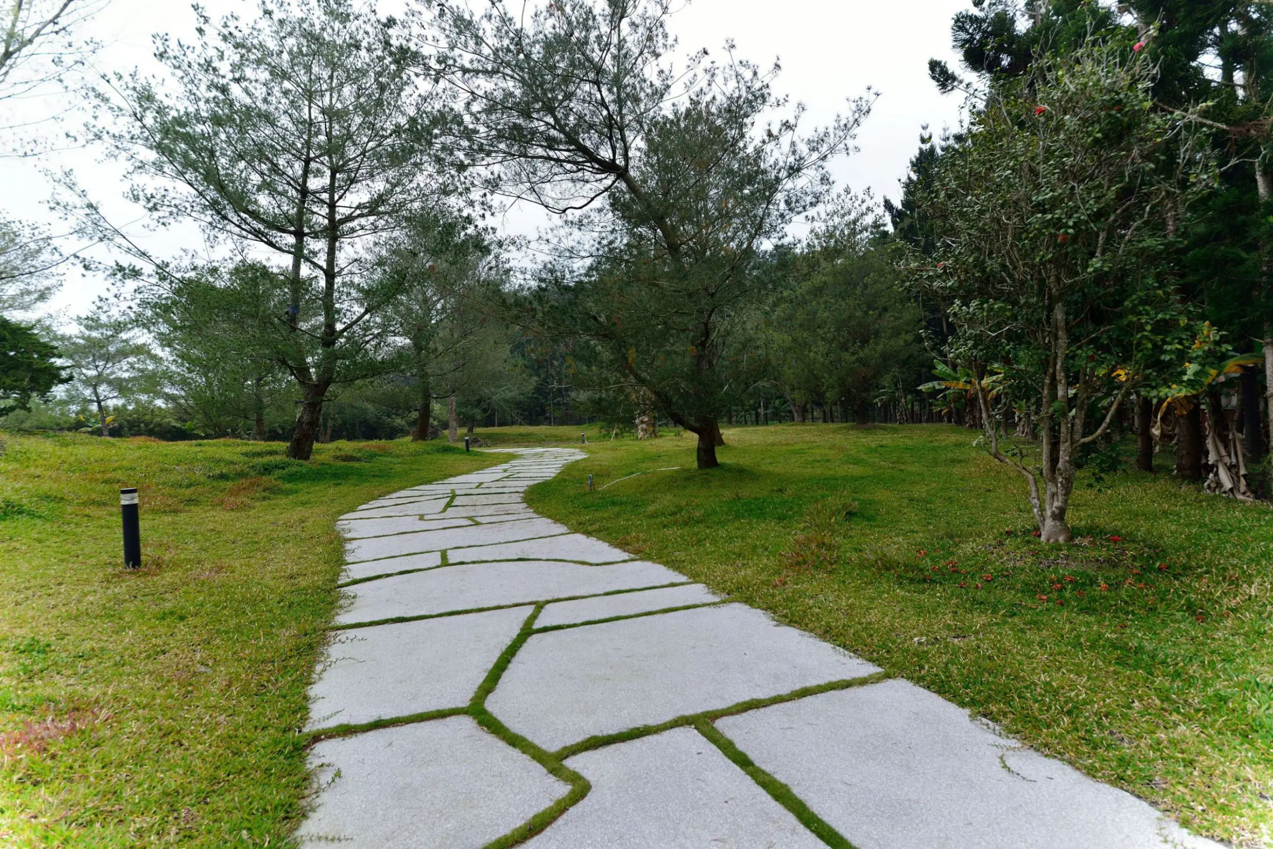 空間媒體 14