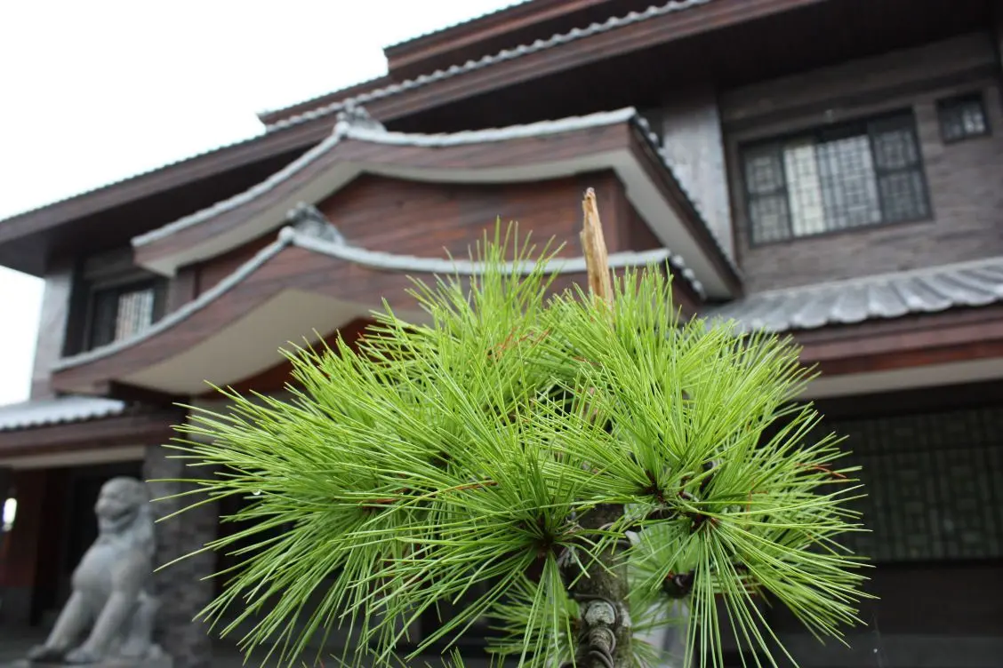 空間媒體 25